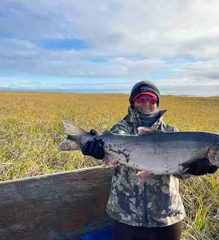 Salmon Fishing Frenzy In Alaska